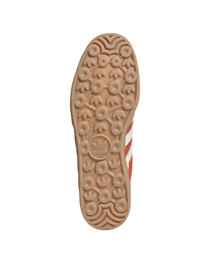 Gazelle Indoor