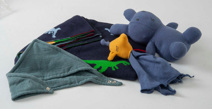 Gift  Set of 4 (Blanket with Muslin Bib, Rabbit, Giraffe Comforter) | 100% Organic Cotton - Mojopanda Organic  Store