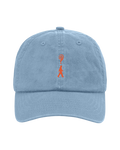 How Did We Get Here? Tour | Blue Cap