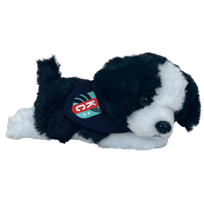 KC Current Tiny Tykes Collie