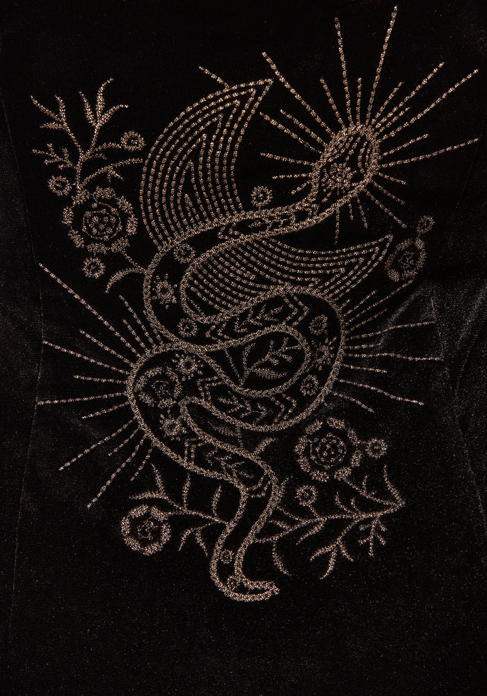 Kobra Embroidered Velour Maxi Slip Dress