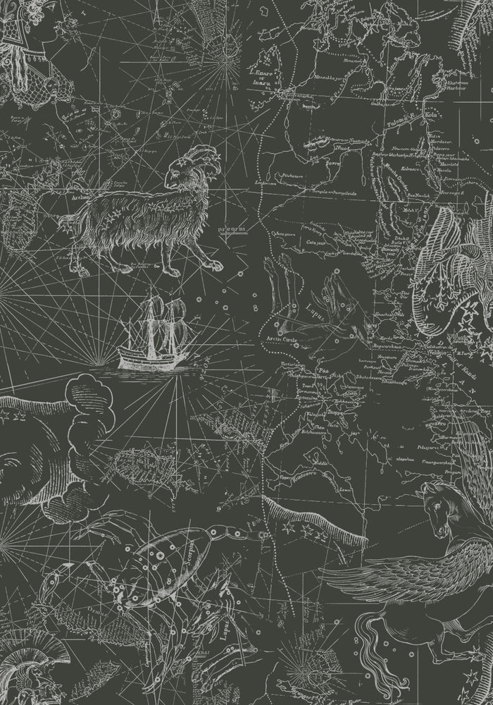 Kosmara Map Print Mini Dress