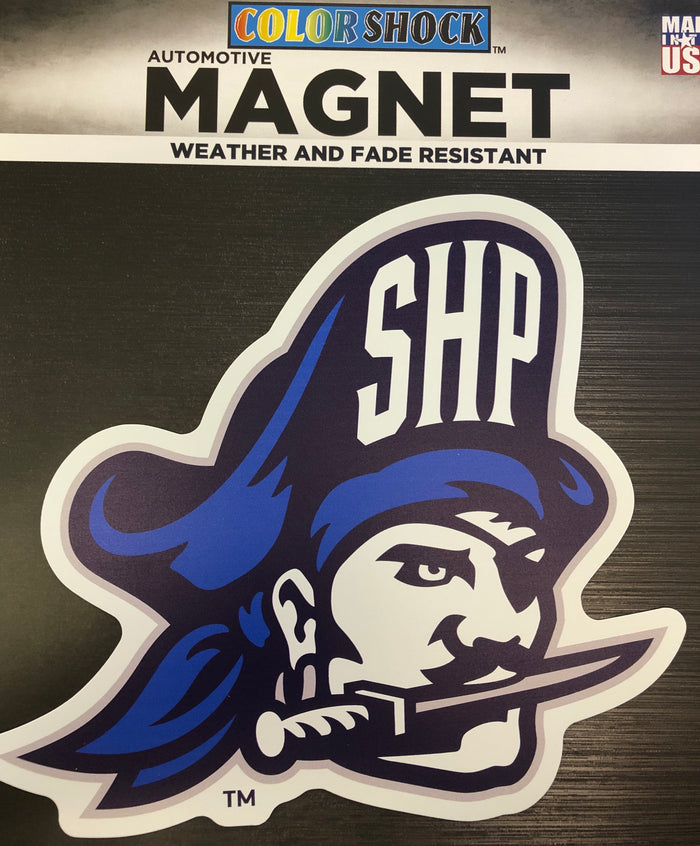 Large Car Magnet