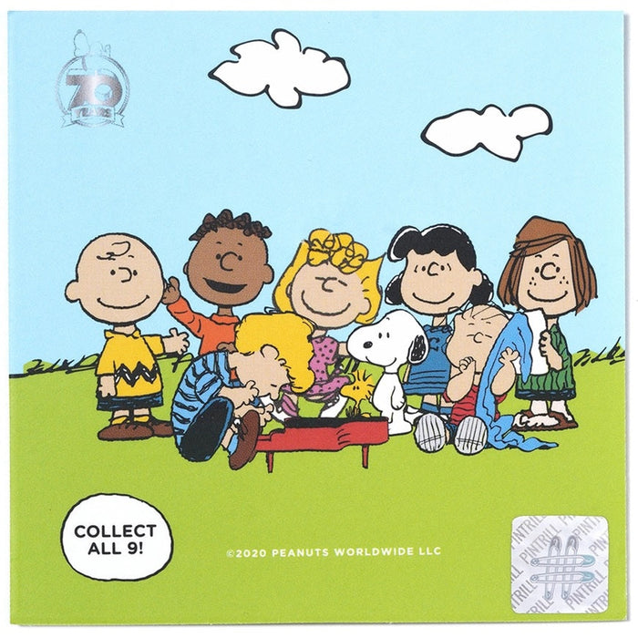 Peanuts collectibles pin box back with group of Peanuts characters sitting outdoors