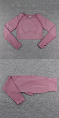 Long Sleeve Gym Pants Sports High Waist Shorts Workout and Bra Sets
