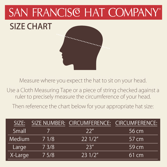 Newsboy Cap: Brown San Francisco Hat Company