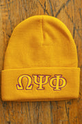 Omega Beanie