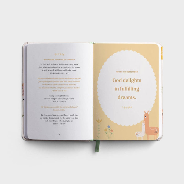 Prayers & Affirmations For You & Your Baby DaySpring Books