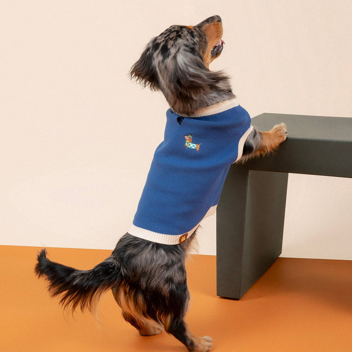 A dachshund wearing the Sassy Woof x Sunbean Dog Tee by Sunbean stands on its hind legs, resting its front paws on a gray bench against a beige and orange background, perfectly capturing the playful spirit of this collection.