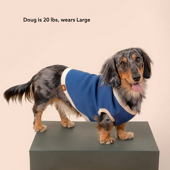 A long-haired dachshund wearing a blue Sassy Woof x Sunbean Dog Tee from Sunbean stands on a green platform. Text above reads, Doug is 20 lbs, wears Large—an ideal choice for coordinating dog and owner outfits.