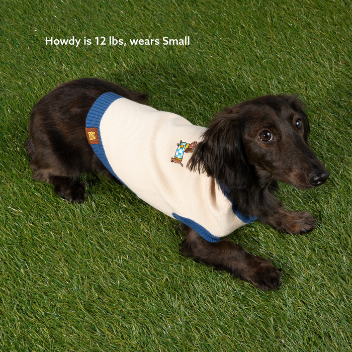 A dark brown dachshund is shown lying on green grass, wearing the Sassy Woof x Sunbean Dog Tee by Sunbean in cream and blue. Text above reads, "Howdy is 12 lbs, wears Small." This stylish tee is perfect for dachshunds or those seeking matching dog and owner outfits!.