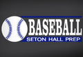 SHP Baseball Decal