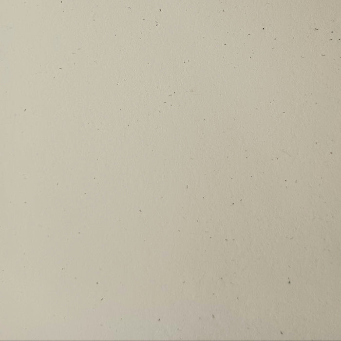 Speckletone Cream 80# Cardstock