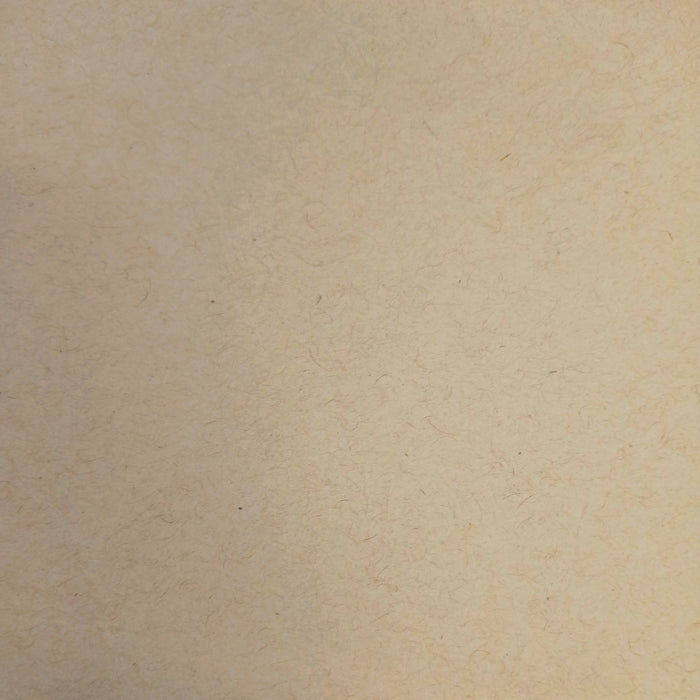 Speckletone Kraft 80# Cardstock