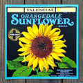 SUNFLOWER ORANGEDALE Citrus Crate Box Label 1920s