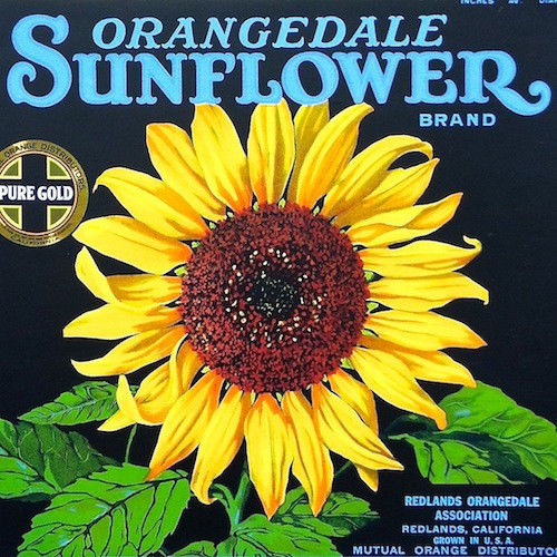 SUNFLOWER ORANGEDALE Citrus Crate Box Label 1920s