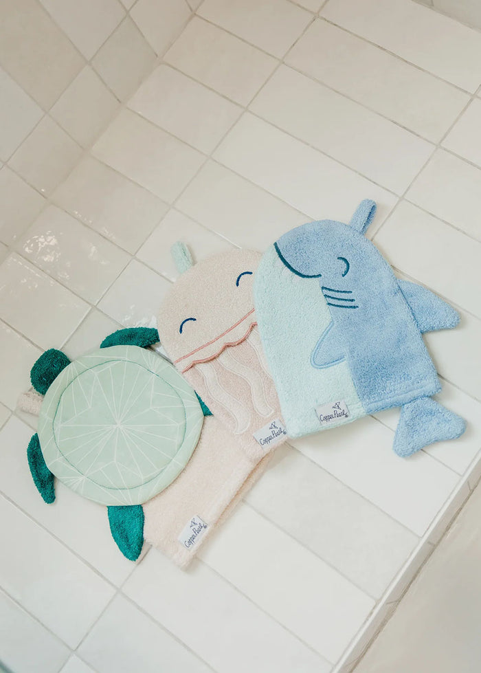 Wade Wash Mitt